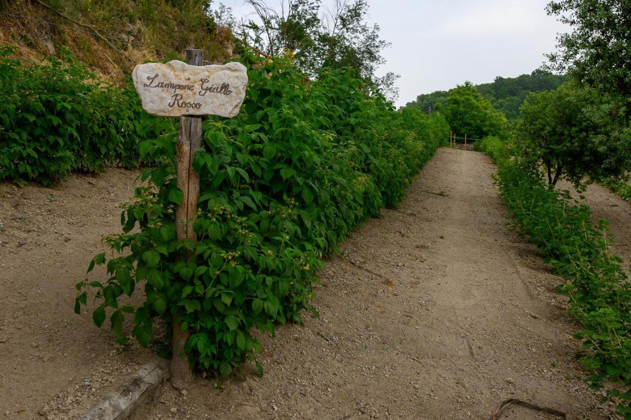 Вілла Agriturismo Le Fontane - Lago Di Bolsena Grotte di Castro Екстер'єр фото